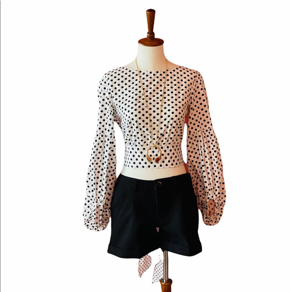 Zara Basics Collection Blouse